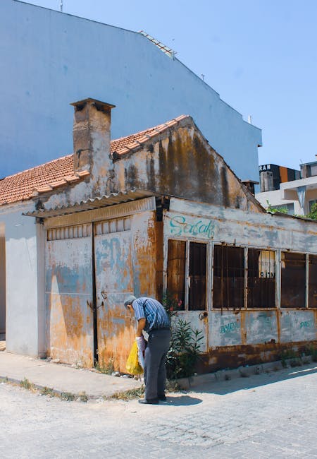 Exploring the Role of Senior PMO M&A Integration in Algeria