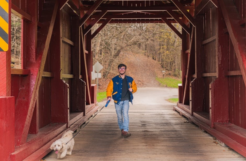 Exploring the Role of Senior PMO M&A Integration in Algeria