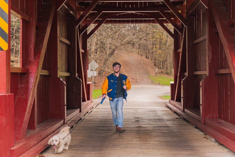 Exploring the Role of Senior PMO M&A Integration in Algeria